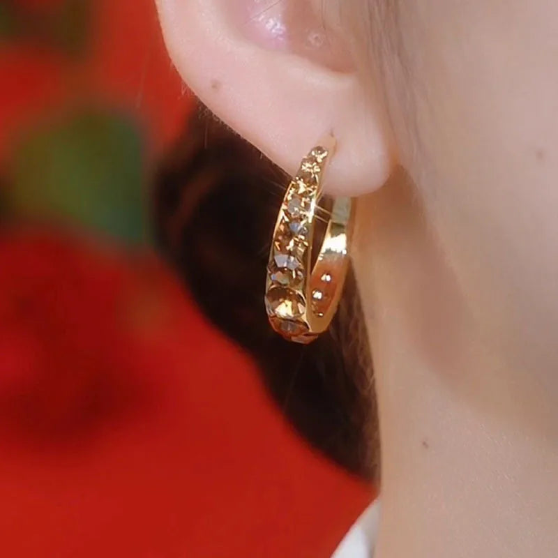 Brown Zircon Circle Earrings - Elegant Statement Jewelry for Women