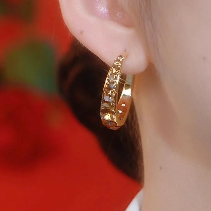 Brown Zircon Circle Earrings - Elegant Statement Jewelry for Women