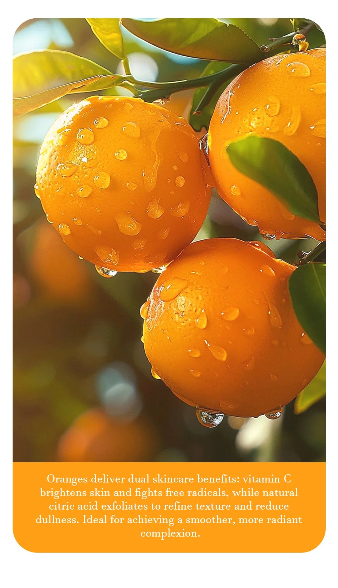 Orange Exfoliating Gel 50ml – Deep Pore Cleansing, Dead Skin Removal & Full Body Scrub